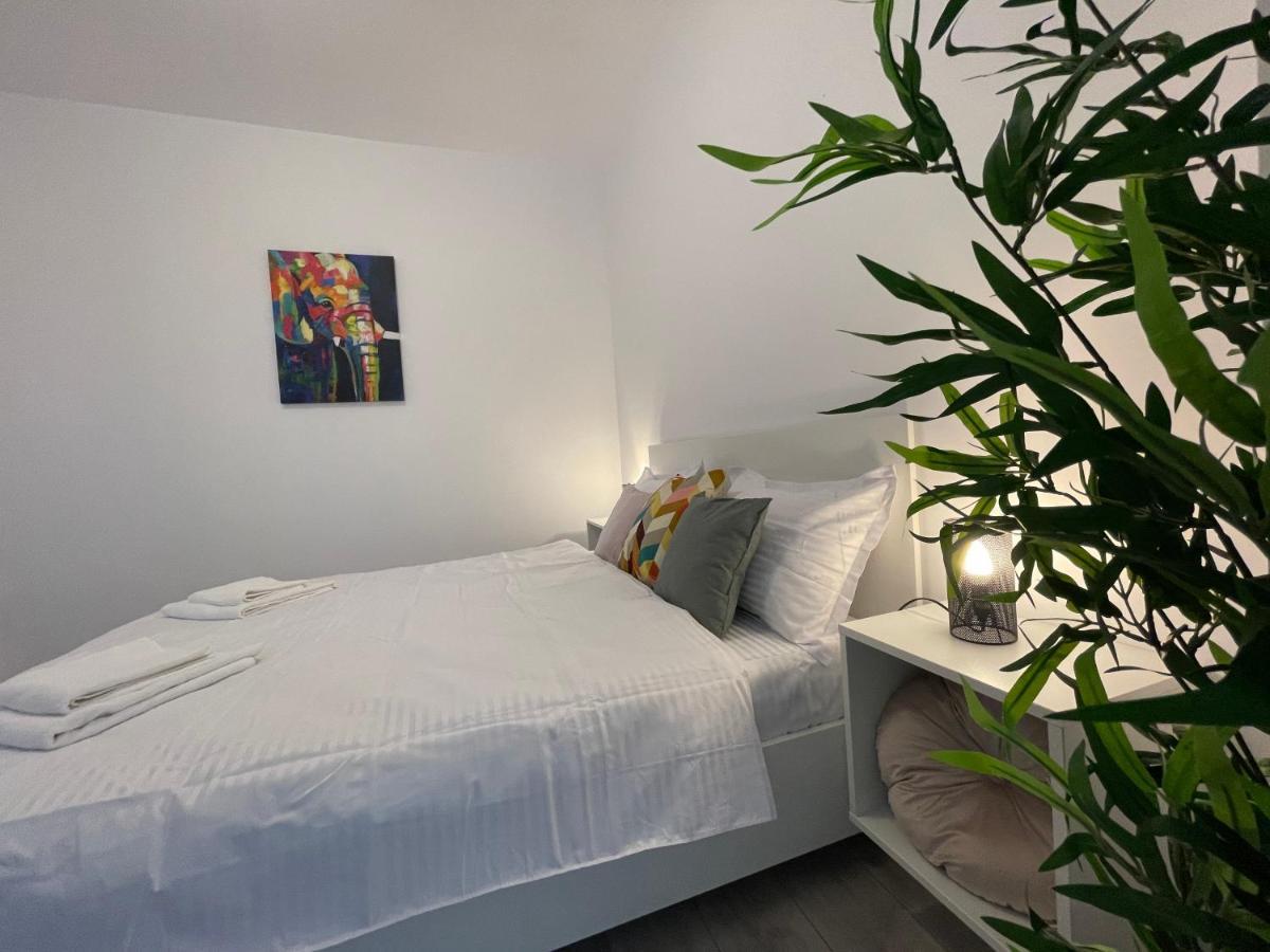 Luxury Apartment Iasi Eksteriør billede